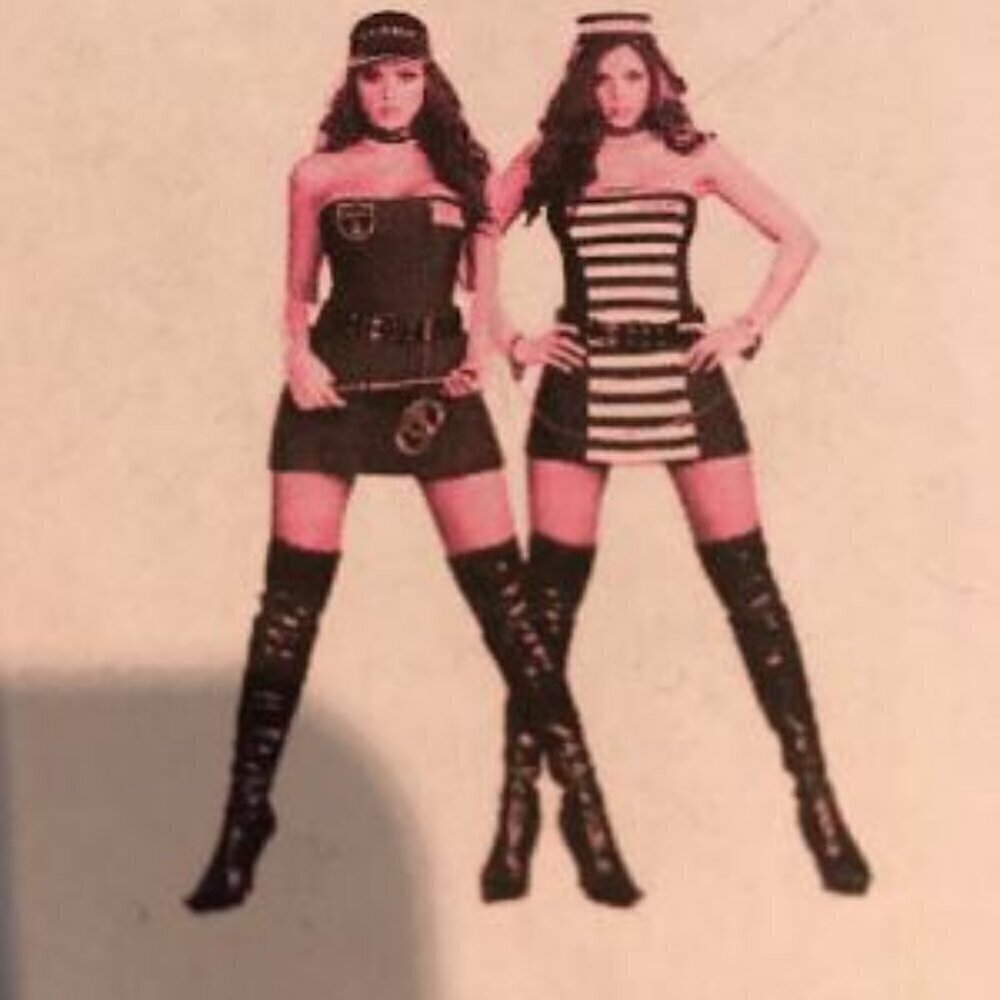 Ladies Sexy Guard Reversible Costume. Small